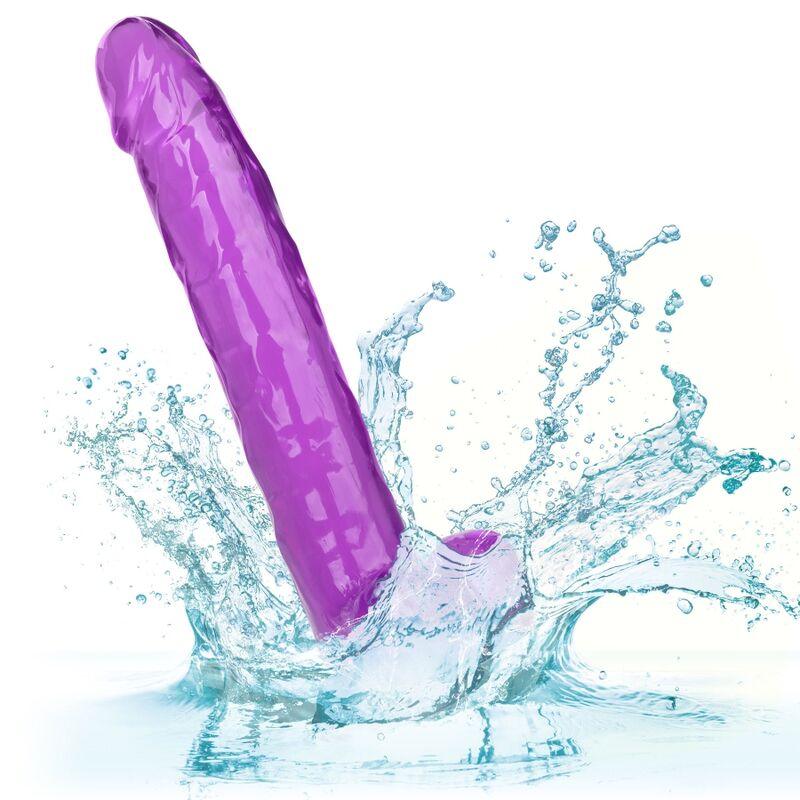 CALEXOTICS - SIZE QUEEN DILDO LILA 25.5 CM - Sensuana.es