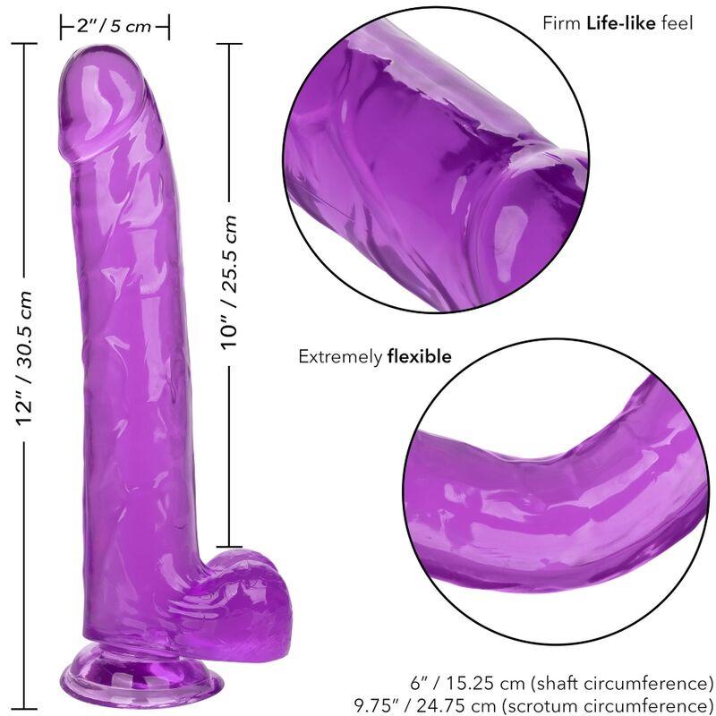 CALEXOTICS - SIZE QUEEN DILDO LILA 25.5 CM - Sensuana.es