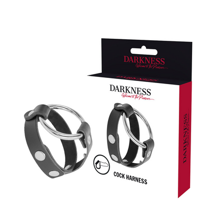 DARKNESS - ANILLO PARA PENE Y TESTÍCULOS BDSM - Sensuana.es