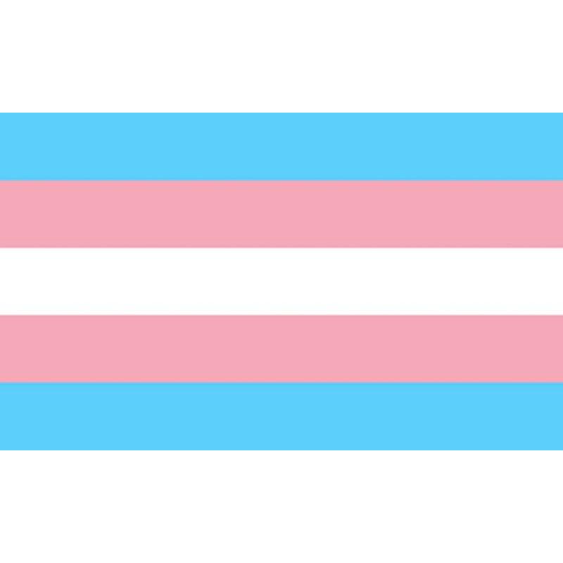 PRIDE - BANDERA 90 X 150 TRANSEXUAL - Sensuana.es