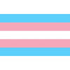 PRIDE - BANDERA 90 X 150 TRANSEXUAL - Sensuana.es