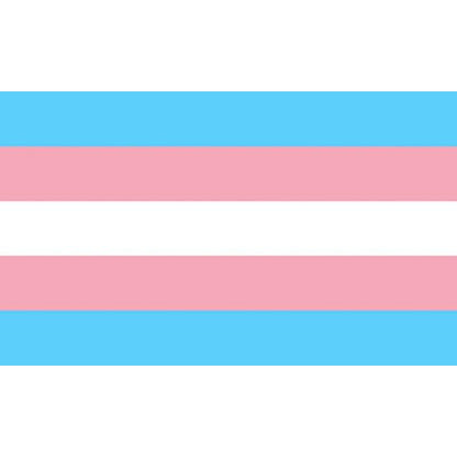 PRIDE - BANDERA 90 X 150 TRANSEXUAL - Sensuana.es