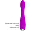 PRETTY LOVE - HECTOR VIBRADOR ELECTROSHOCK RECARGABLE & IMPERMEABLE MORADO - Sensuana.es