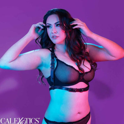 CALEXOTICS - EUPHORIA ARNÉS HATLER CON HEBILLA TALLA GRANDE NEGRO - Sensuana.es