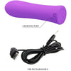 PRETTY LOVE - ALFREDA VIBRADOR SUPER POWER MORADO - Sensuana.es