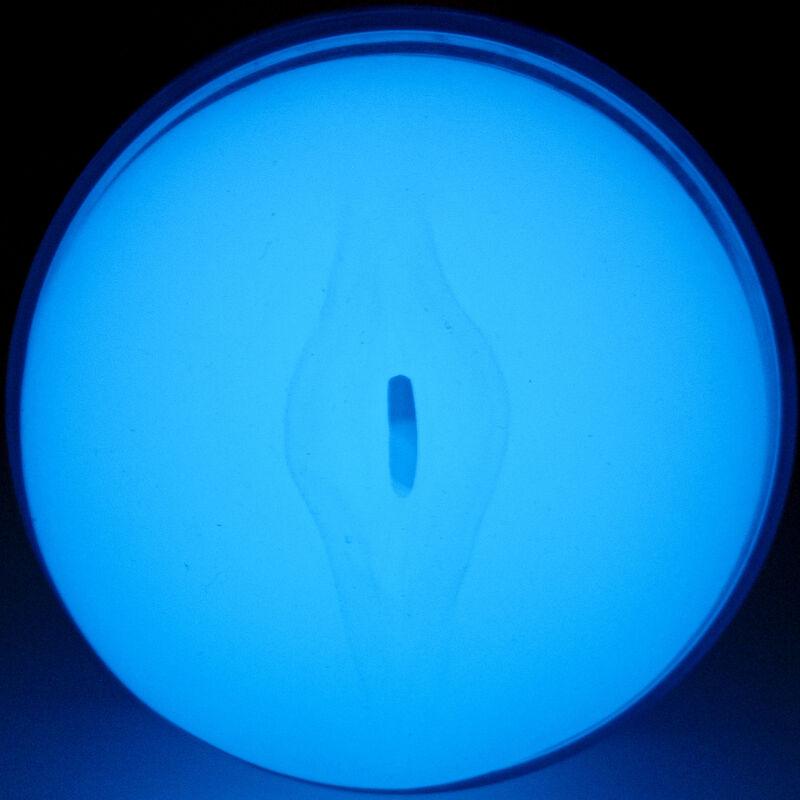 KIIROO - FEEL GLOW IN THE DARK STROKER - Sensuana.es