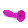 PRETTY LOVE - BOOTY PASSION PLUG CON VIBRACION 10V - Sensuana.es