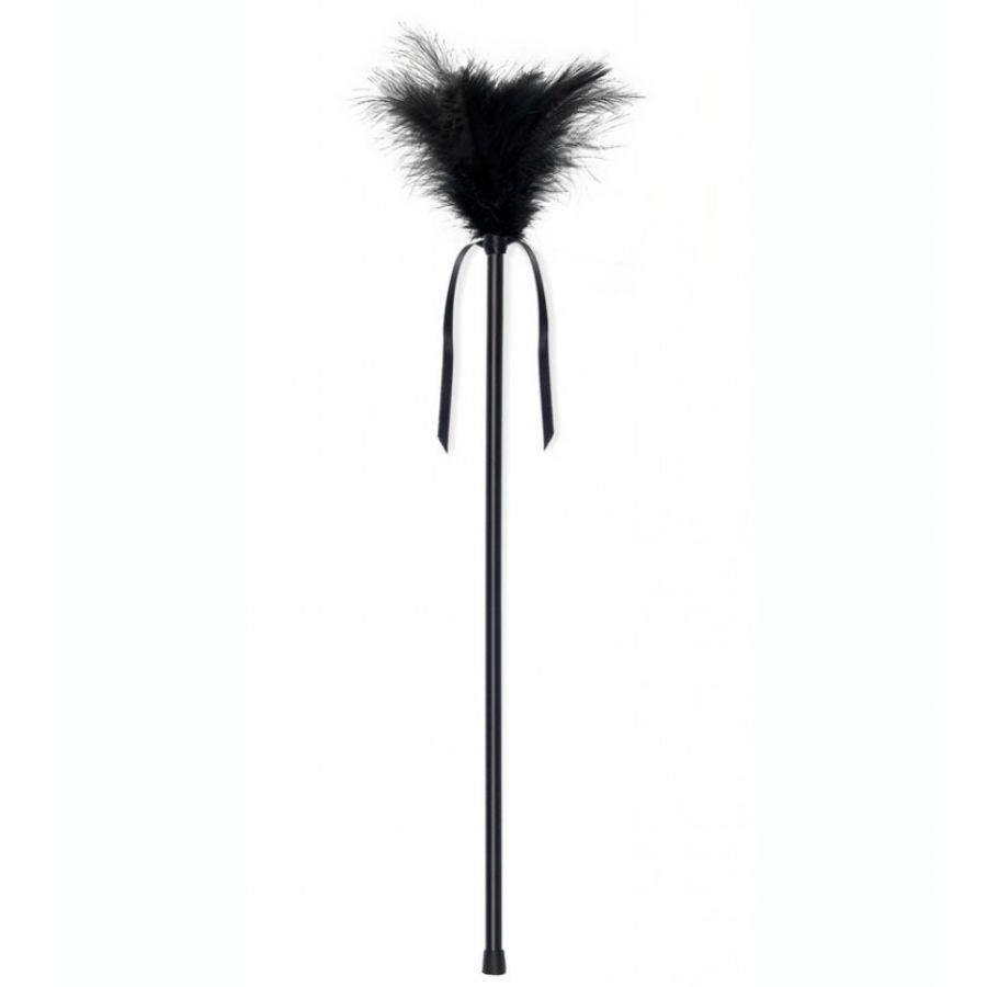 SECRETPLAY - PLUMERO PLUMAS NEGRO 40 CM - Sensuana.es