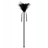 SECRETPLAY - PLUMERO PLUMAS NEGRO 40 CM - Sensuana.es