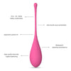 LESLIE - KEGEL FIT ENTREGADOR SUELO PELVICO 6 PESOS - Sensuana.es