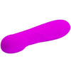 PRETTY LOVE - SMART MINI VIBRADOR REUBEN - Sensuana.es